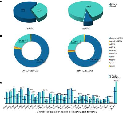 Uterus proliferative period ceRNA network of Yunshang black goat reveals candidate genes on different kidding number trait